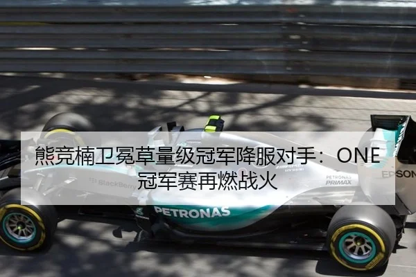 熊竞楠卫冕草量级冠军降服对手：ONE冠军赛再燃战火